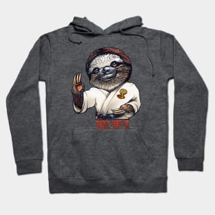 Karate Sloth Hoodie